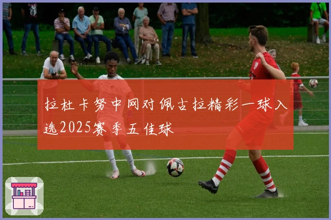 拉杜卡努中网对佩古拉精彩一球入选2025赛季五佳球